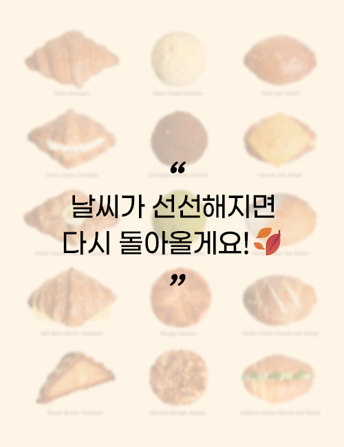 프리미엄 베이커리 세트