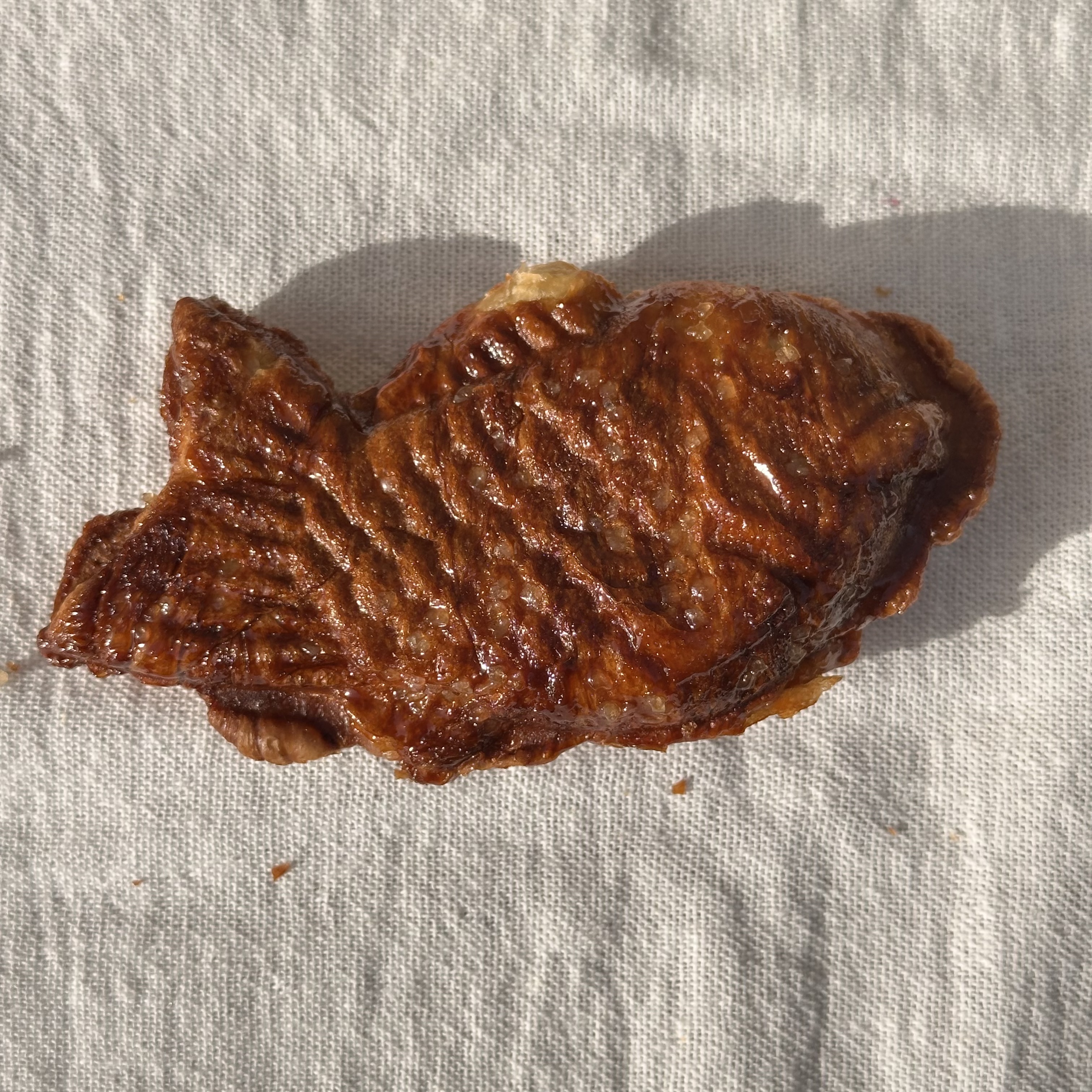 Sugar Croffle Fish